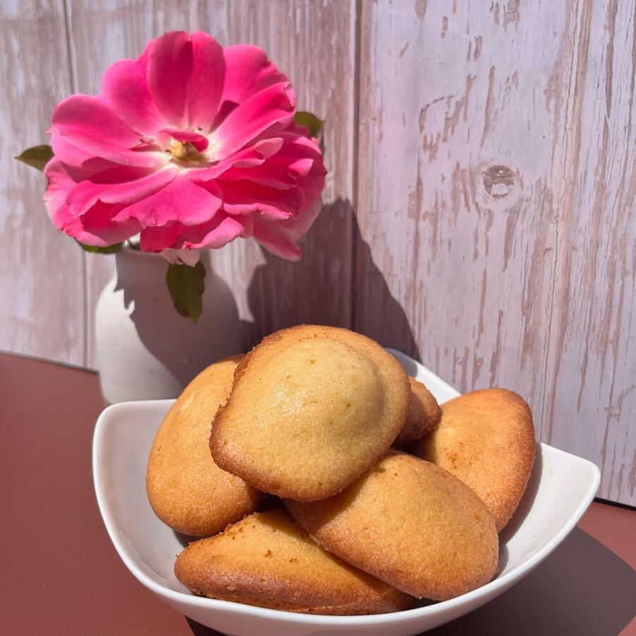 Madeleines