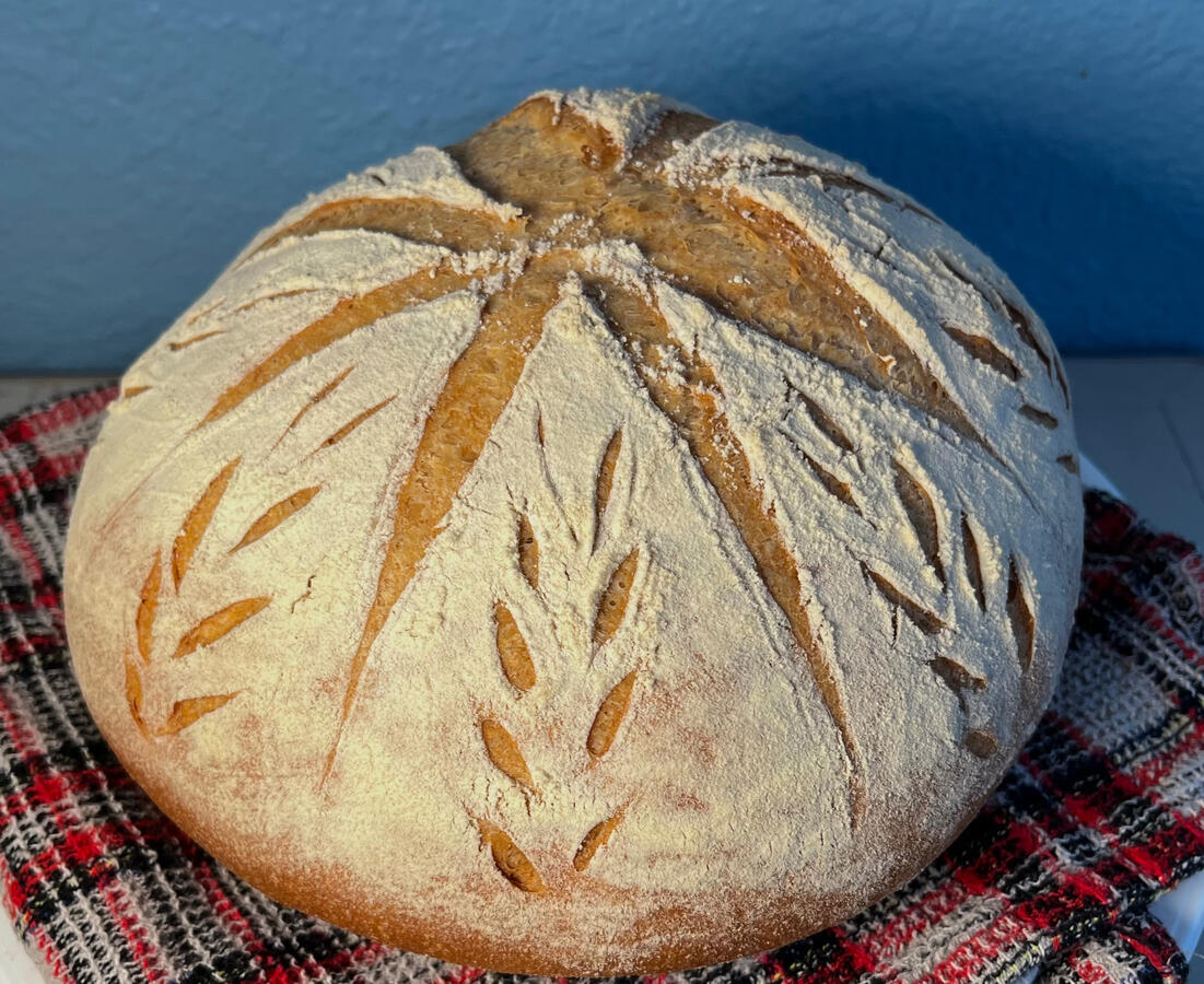 Wheat flour