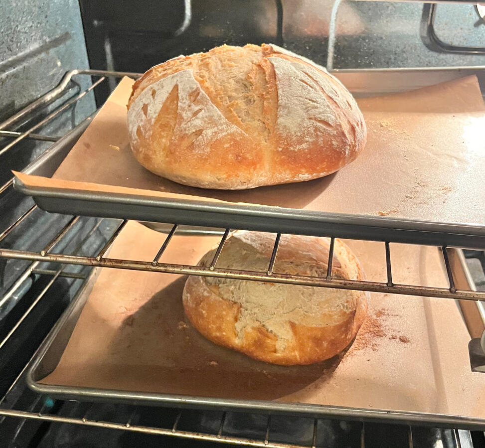Bread Bread