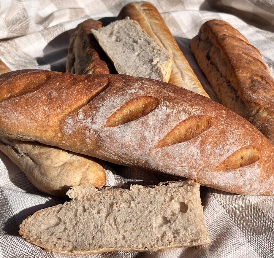 Bread